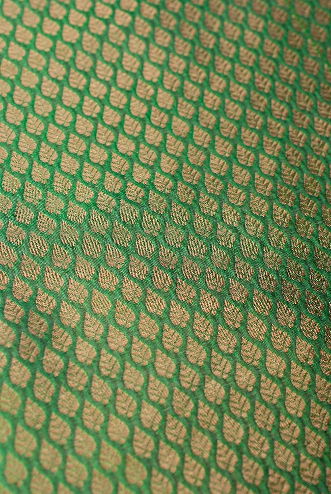 〔1m切り売り〕インドの伝統模様布 緑地に葉模様〔幅約108cm〕 3 - 接写での撮影になります。