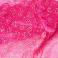 〔1m単位切り売り〕インドのエンボスペイズリー模様布〔各色あり〕 - サブ3