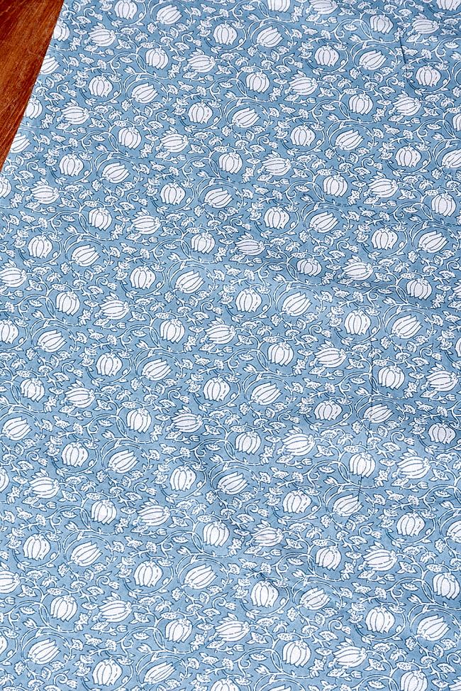 【5個セット】〔1m単位切り売り〕テキスタイルの伝統息づくインドから　昔ながらの更紗模様布　水色系〔幅約106cm〕 4 - とても良い雰囲気