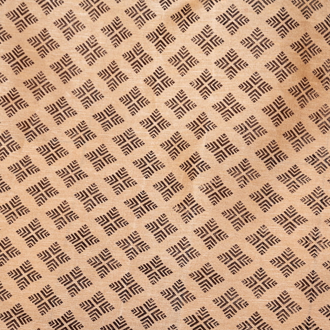 【3個セット】〔1m単位切り売り〕タッサーシルク風　インドのかわいい伝統模様生地〔約113cm〕ベージュ系 5 - 生地の拡大写真です