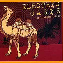 ELECTRIC OASISの写真アラビアン・エレクトロ,ベリーダンス CD