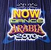 Now Dance Arabia 2010の商品写真