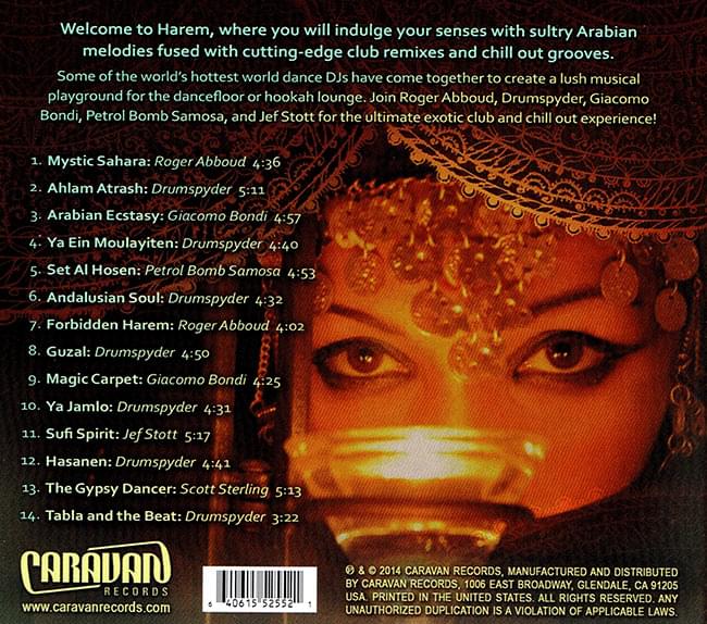 Harem:Club & Chillout Remixes 2 -