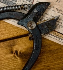 インドのアンティークレトロニッパー（ばね付き） - サブ3