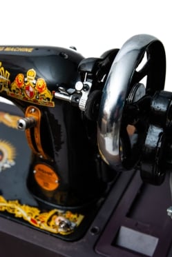 [観賞用・ワケアリ]インドのレトロミシン ASHA - サブ3