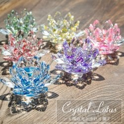 【8.5cm】6色展開 クリスタルのロータス