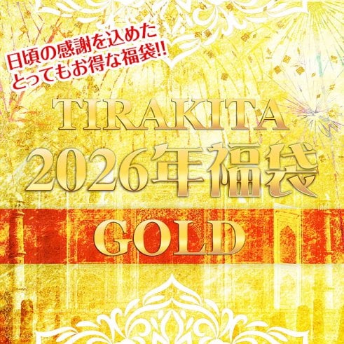 【日頃の感謝を込めて】福袋ゴールド - 雑貨・服・アクセサリーなど【12/23以降順次発送】(OTNSMBX-17)