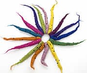 NP-ACS-51の評価写真