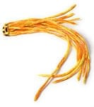 NP-ACS-338の評価写真