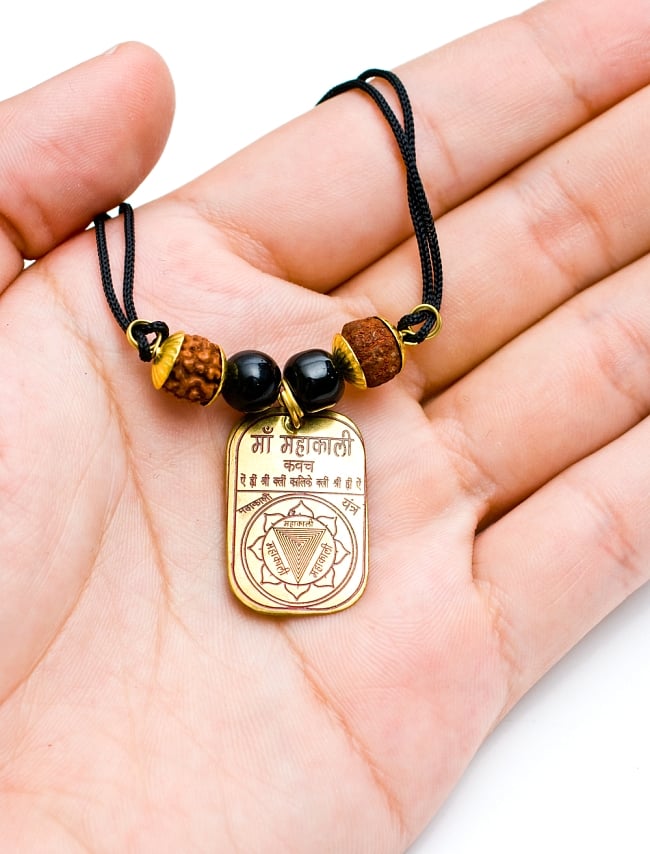 金色のプレート付きカヴァチ 5 - 手に持ってみました