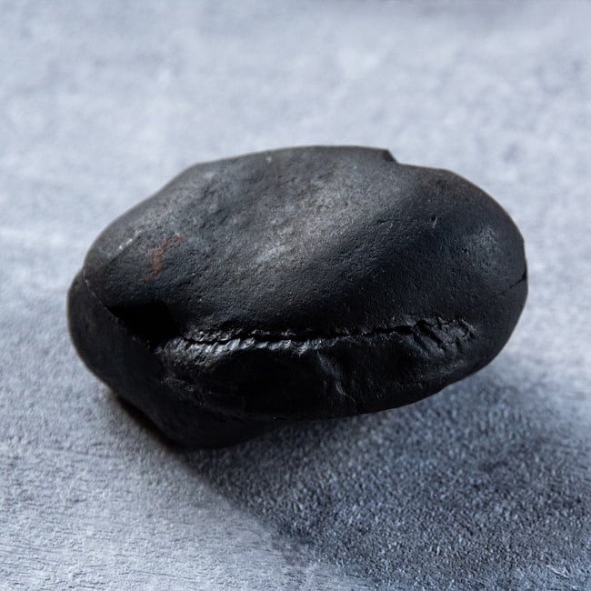 【1点物】シャリグラム ヒンドゥー教の聖石・ヴィシュヌ神の象徴 161g 2 - このようにぴったりと重なりあいます。