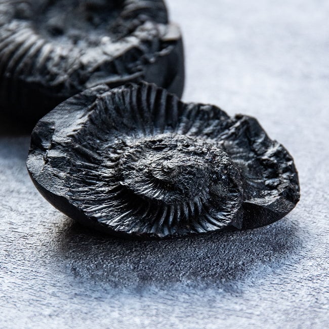 【1点物】シャリグラム ヒンドゥー教の聖石・ヴィシュヌ神の象徴 161g 5 - 自然が産んだ奇跡。