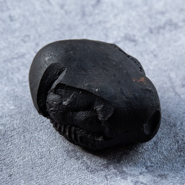 【1点物】シャリグラム ヒンドゥー教の聖石・ヴィシュヌ神の象徴 161g 7 - このようにぴったりと重なり合います。