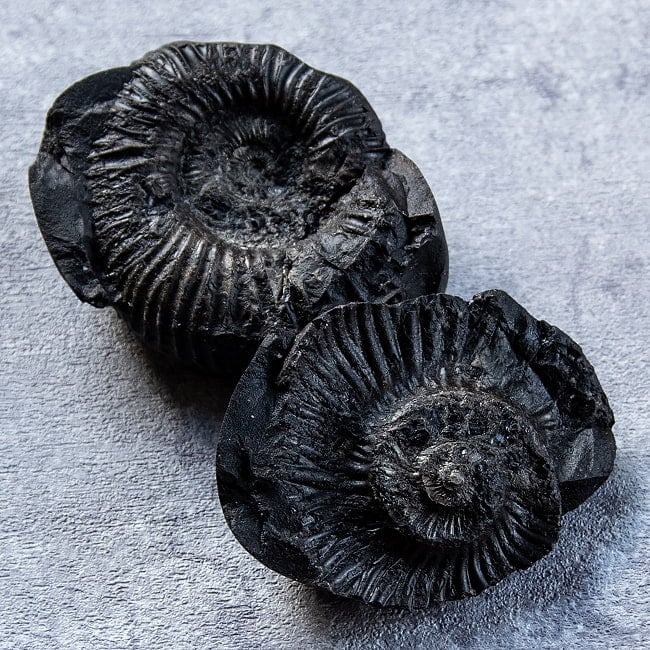 【1点物】シャリグラム ヒンドゥー教の聖石・ヴィシュヌ神の象徴 161gの写真聖石,サリグラム,アンモナイト,化石,ネパール産,シャリグラム,ヴィシュヌ神,化身,守護石,お守り,浄化,瞑想,グッズ,標本,天然石,パワーストーン