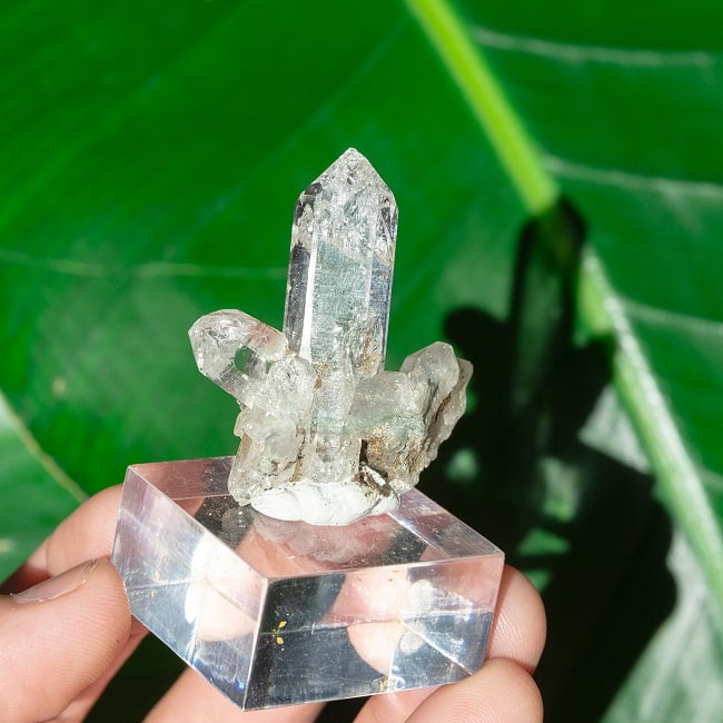 【一点物】 ヒマラヤ水晶原石 【19g】クラスター・透明・ゲートウェイ・バーコード 7 - 太陽光にかざすと美しさが際立ちます