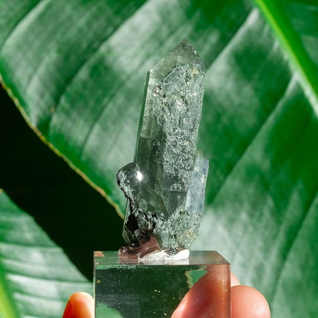 【一点物】 ヒマラヤ水晶原石 【30.5g】ポイント・透明・クローライト・バーコード・タビーの写真クリスタル,ヒマラヤ産,原石,天然石,一点物,水晶,浄化,パワーストーン,クラスター,クォーツ