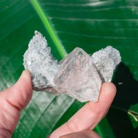 【一点物】 ヒマラヤ水晶原石 【87.5g】クラスター・ルチル・レコードキーパー