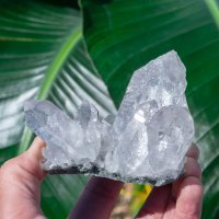 【一点物】 ヒマラヤ水晶原石 【321g】クラスター・透明・クローライト・バーコード・セルフヒールド
