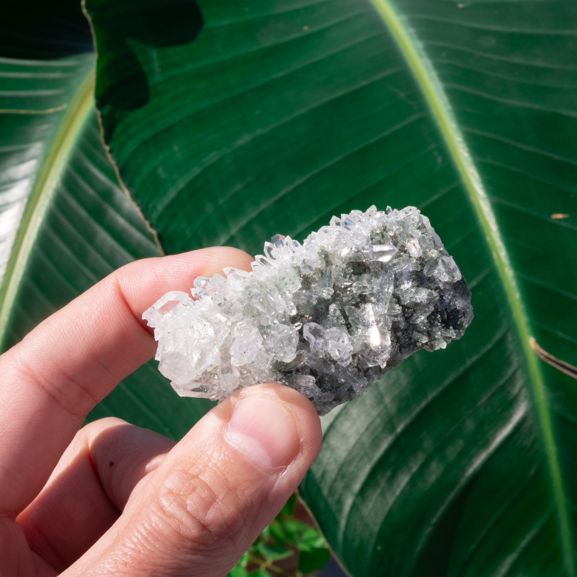 【一点物】 ヒマラヤ水晶原石 【 39g】透明度・クラスター・タビー・バーコードの写真