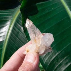 【一点物】 ヒマラヤ水晶原石 【 49g】透明度・クラスター・タイムリンク・バーコード・レインボーの画像