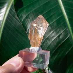 【一点物】 ヒマラヤ水晶原石 【 24.5g】透明度・褐色・セルフヒールド・バーコードの画像