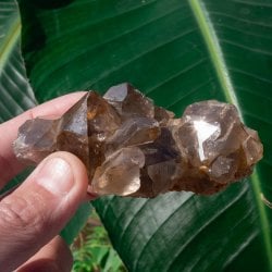 【一点物】 ヒマラヤ水晶原石 【142.5g】スモーキー・クラスター・バーコードの商品写真