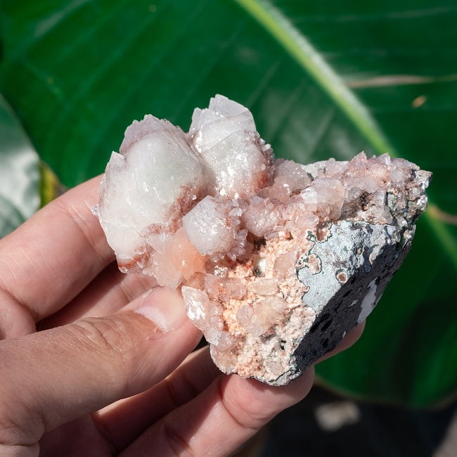 【一点物】 レッドアポフィライト原石 【196g】稀少石インド産・クラスター 7 - 太陽光にかざすと美しさが際立ちます