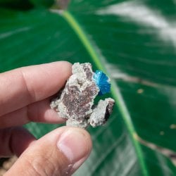 【一点物】 カバンサイト原石 【12g】インド産・稀少石