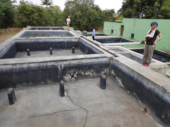 【送料無料・5個セット】インディゴケーキ - インド藍 ブロック 藍染用 【良品 約100g】 6 - このプールにたっぷりと藍の生葉を入れ、発酵させてインディゴケーキが作られます