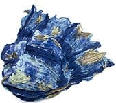 SCF-SIMP-50の評価写真