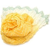 SCF-SIMP-106の評価写真