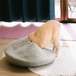 ネパールフェルトのキャットハウス パンプキン - サブ5