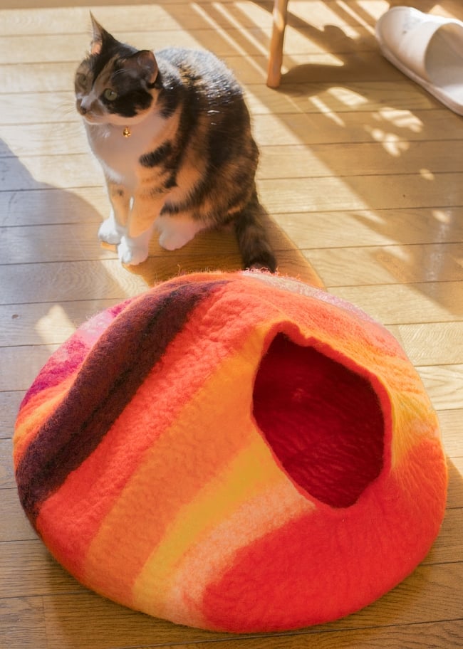 ネパールフェルトのキャットハウス オレンジ&ボーダー 2 - ベッドになったりざぶとんになったり、いろいろな遊び方をしてくれます。