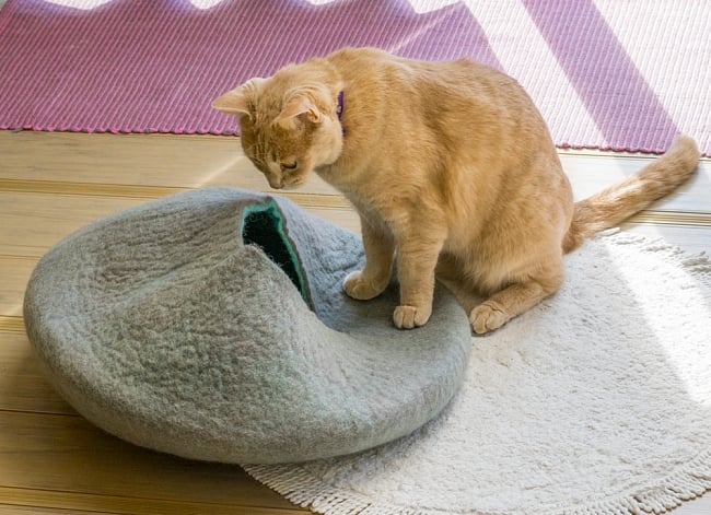 ネパールフェルトのキャットハウス グレー&ブルーグリーン 2 - ベッドになったりざぶとんになったり、いろいろな遊び方をしてくれます。