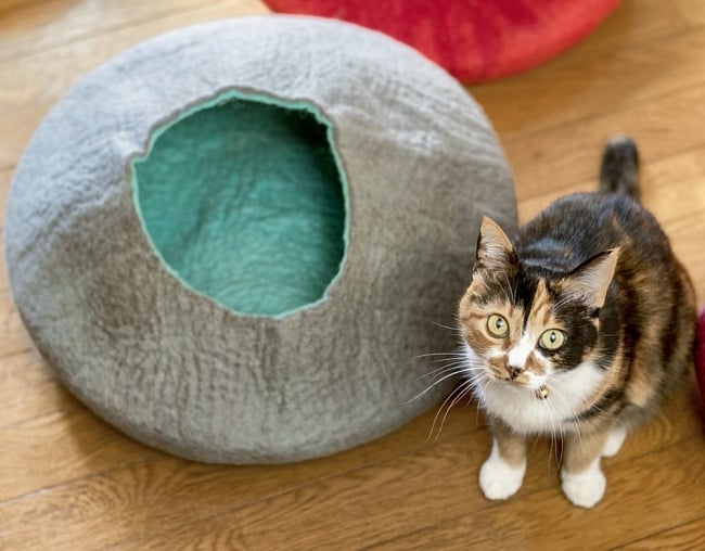 ネパールフェルトのキャットハウス グレー&ブルーグリーンの写真