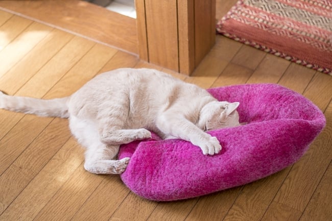 ネパールフェルトのキャットハウス マゼンタ 2 - ベッドになったりざぶとんになったり、いろいろな遊び方をしてくれます。