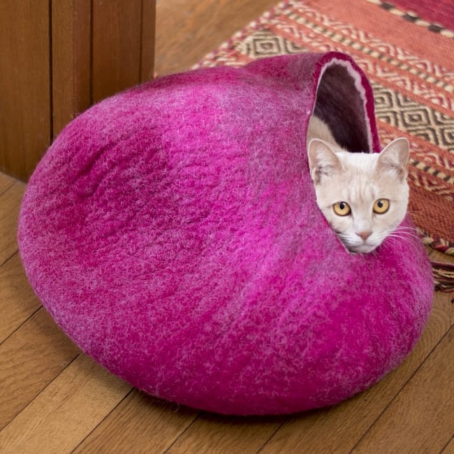 ネパールフェルトのキャットハウス マゼンタの写真