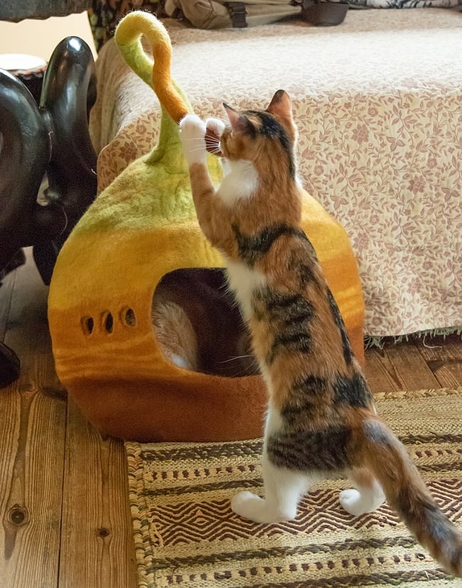 ネパールフェルトのしっぽ付きキャットハウス　猫ハウス 10 - しっぽ部分をかじったり猫パンチ食らわせたりして遊びます