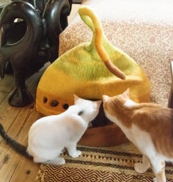 ネパールフェルトのしっぽ付きキャットハウス　猫ハウス - サブ2