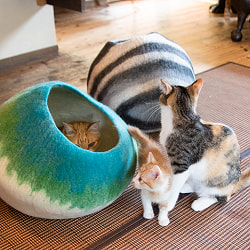 ネパールフェルトの猫ちぐら しっかりめ丸形タイプ　キャットハウス - サブ5