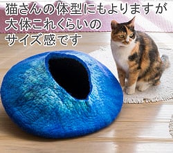 だいぶ個性的なネパールフェルトのキャットハウス - サブ4