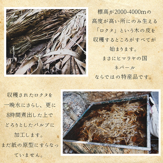 ロクタ紙 手漉き 無地 ブランク ミニノートサイズ 50枚セット 7 - ネパールに自生する素材が使われます。