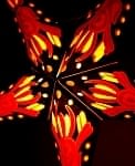 〔インドクオリティ〕星型ランプシェード - 黒×黄×赤の商品写真