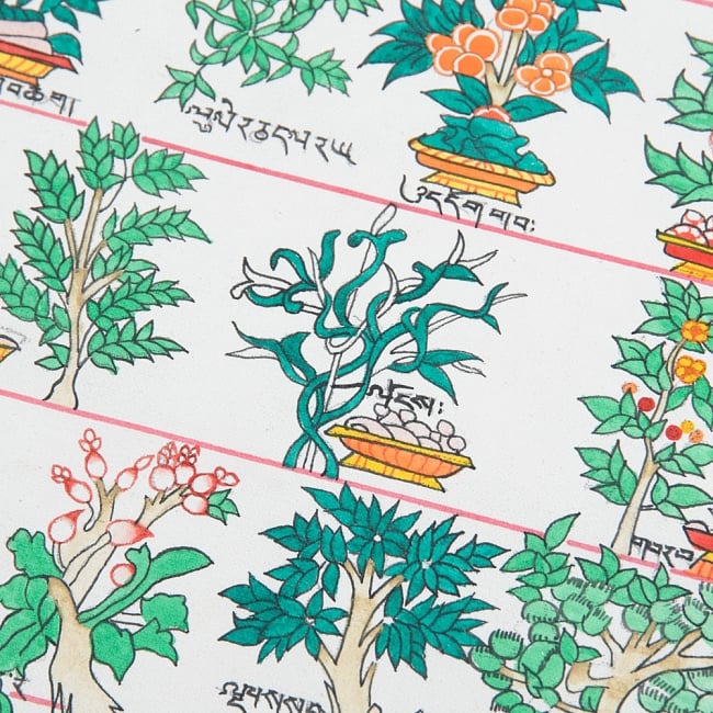 〔一点物〕タンカ - チベット医学四部医典薬草図[50x42cm] 4 - 別アングルです