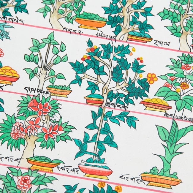 〔一点物〕タンカ - チベット医学四部医典薬草図[50x42cm] 7 - 別アングルです
