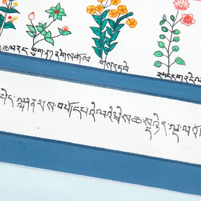 〔一点物〕タンカ - チベット医学四部医典薬草図[50x42cm] 9 - 別アングルです