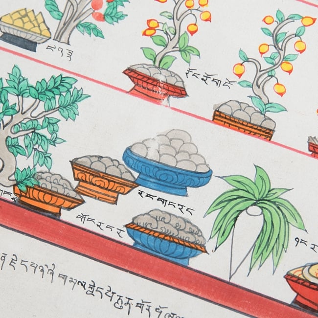 〔一点物〕タンカ - チベット医学四部医典薬草図[54.5x41cm] 6 - 別アングルです