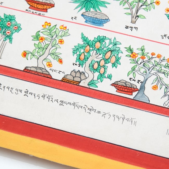 〔一点物〕タンカ - チベット医学四部医典薬草図[54.5x41cm] 8 - 別アングルです