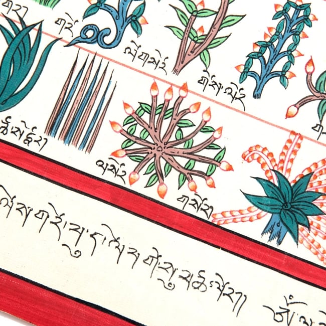 〔一点物〕タンカ-チベット医学四部医典薬草図[48x35cm] 7 - 別アングルです