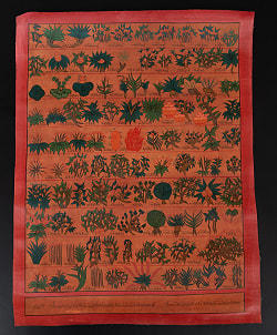 〔一点物〕オイルフィニッシュ仕上げ タンカ - チベット医学四部医典薬草図[37cm x 47cm] - サブ2